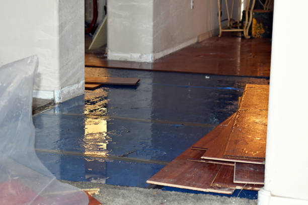 Professional Water Damage Restoration technician working in Riverside, MO